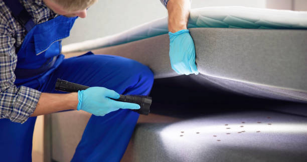 Best Termite Control Services  in Kaumakani, HI