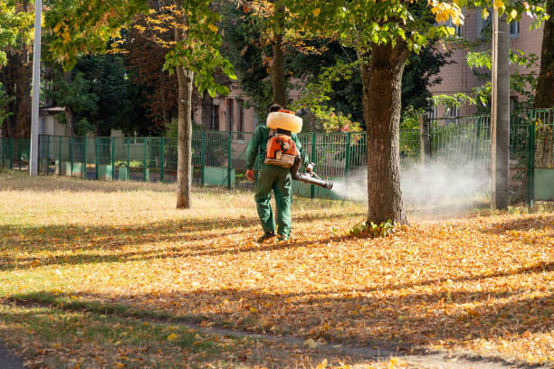 Best Residential Pest Control  in Kaumakani, HI